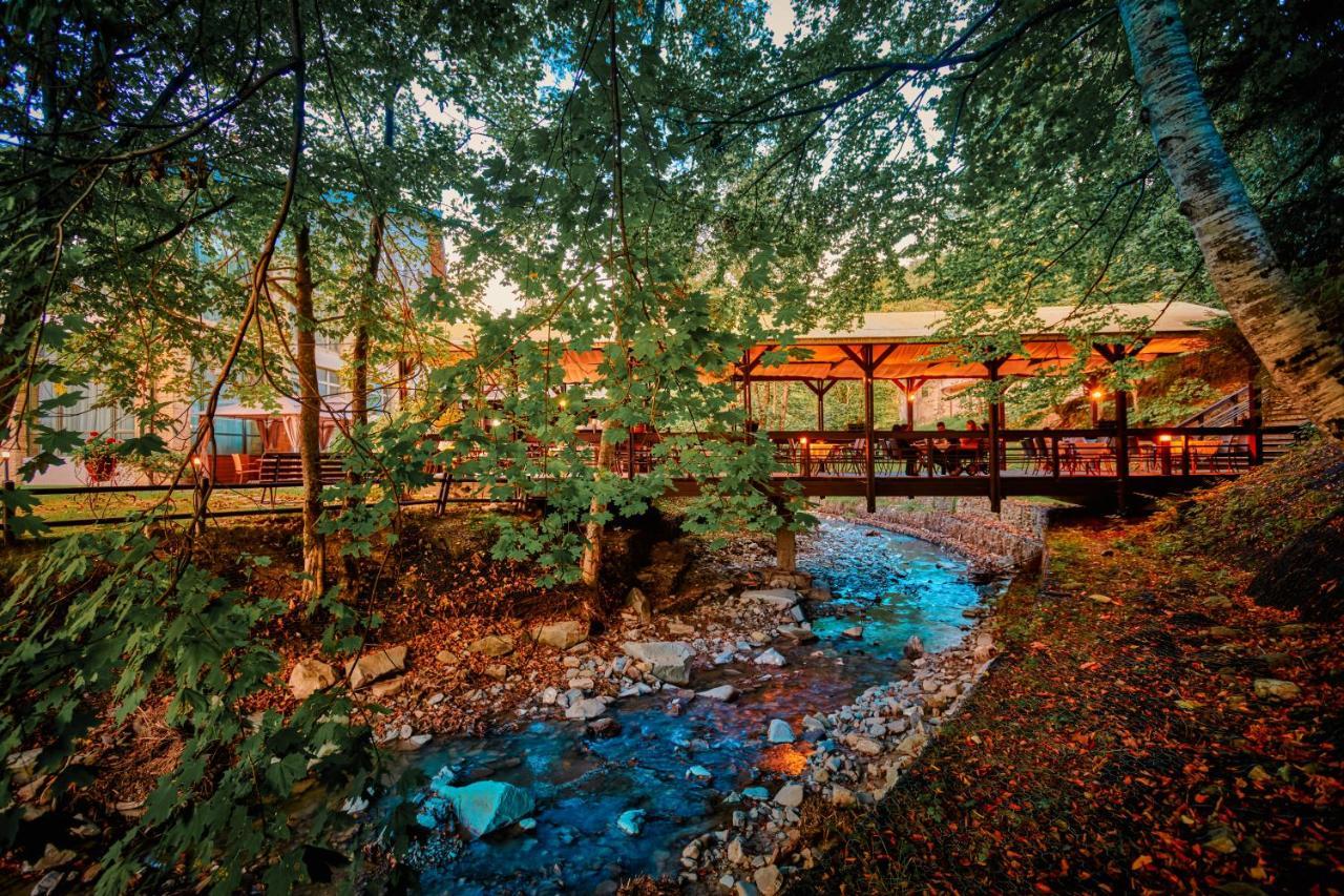 Hotel & Restaurant Sofia Sucevita Kültér fotó
